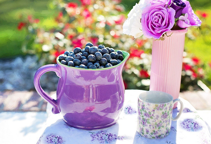 Recette Myrtille